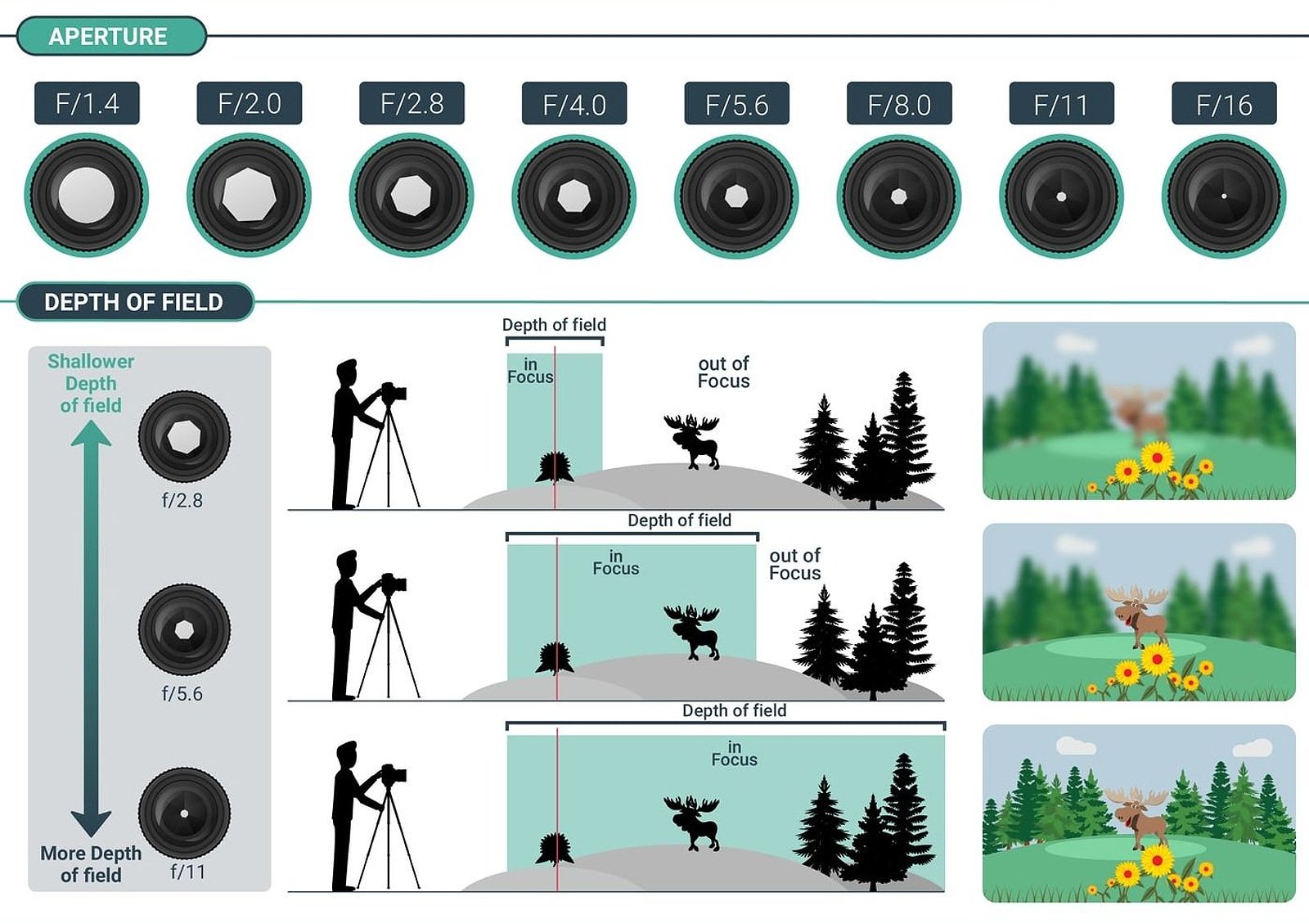 Kiến thức chụp ảnh cơ bản - Độ sâu của trường ảnh (Depth of Field)